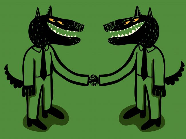 Wolf Blog